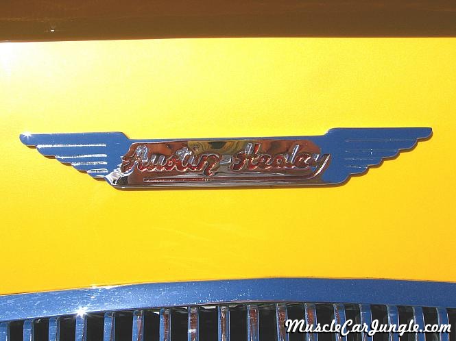 1953 Austin Healy Custom Badge