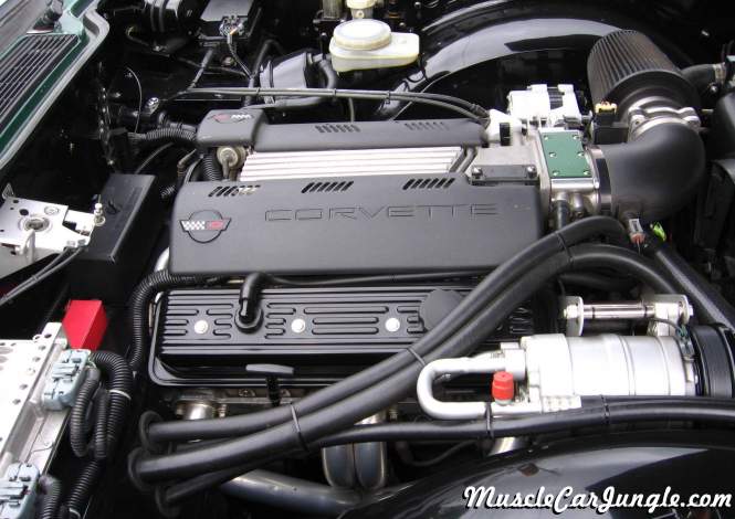 Triumph TR6 Custom LT1 V8 Engine Right Side