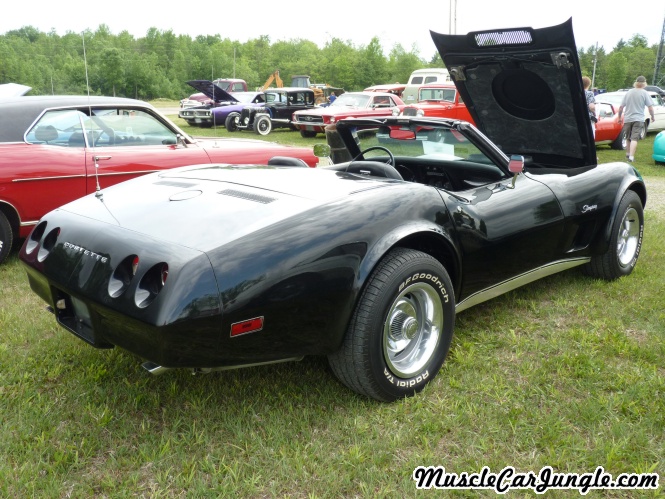 1974 L48 Corvette Convertible Right Side