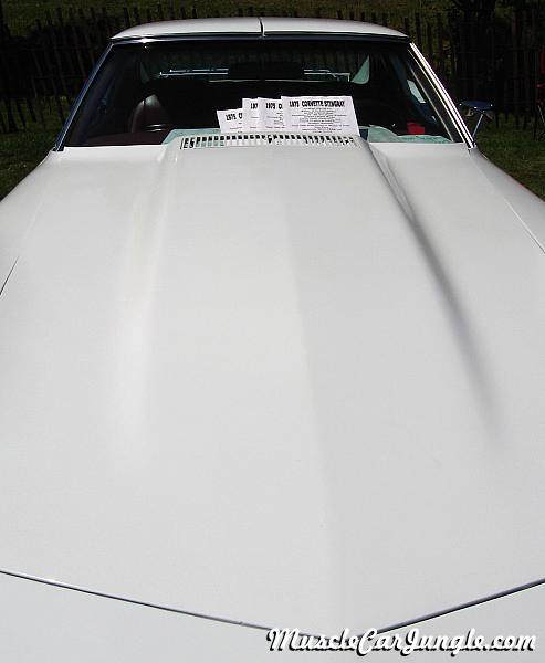 1975 Corvette Hood