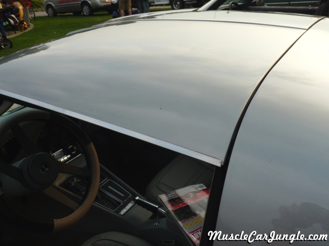 1976 Corvette Roof Panels