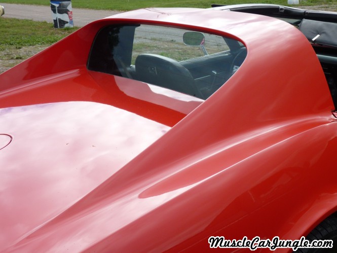 1977 Corvette Roof Buttresses