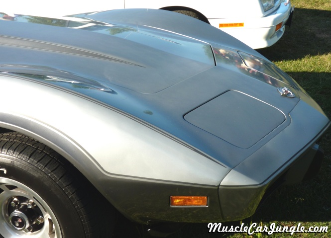 1978 Silver Anniversary Corvette Front Fender