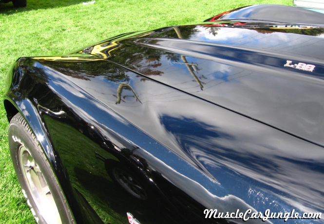 1979 L82 Corvette Hood