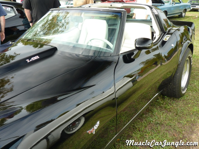 1979 L82 Corvette Side Angle