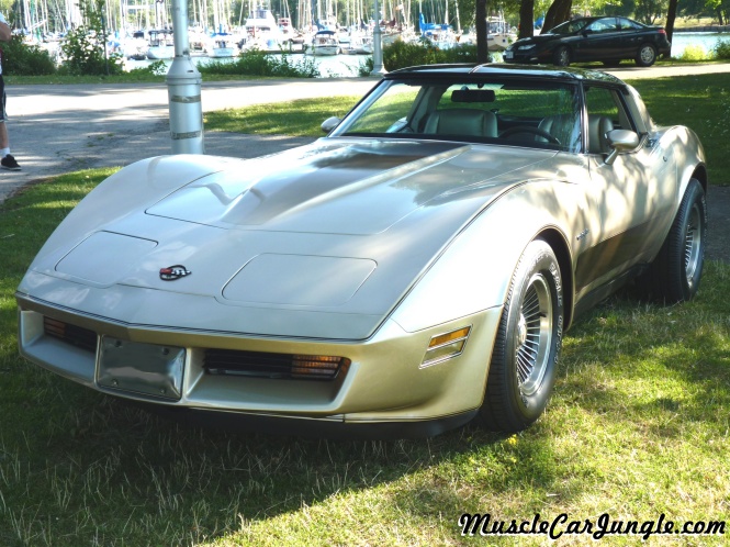 1982 Corvette Special Edition