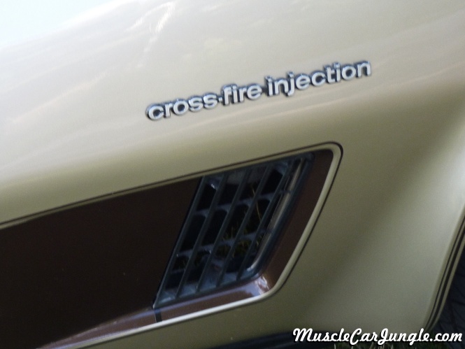 1982 Corvette Special Edition Badge