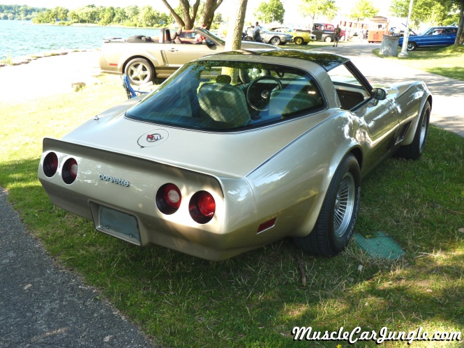 1982 Corvette Special Edition Rear