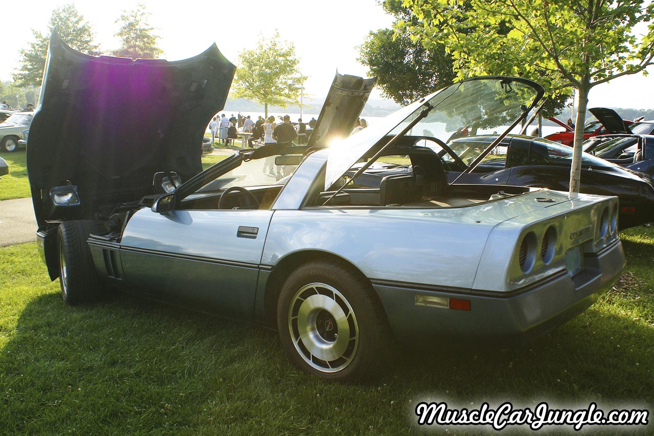 84 Corvette Rear Left