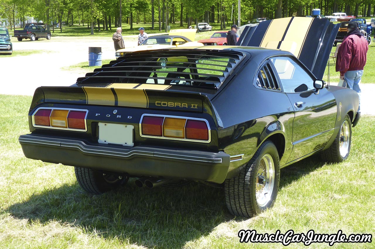 1977 Mustang Rear